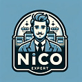 nico expert logo