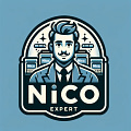 nico expert logo